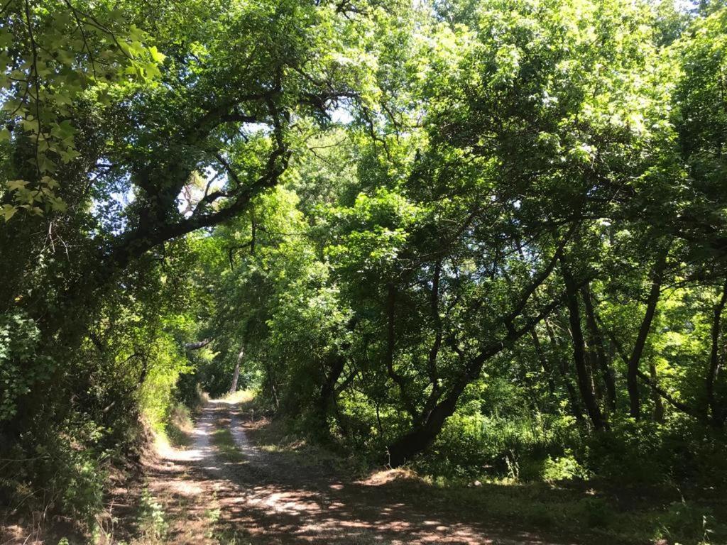 戈西克Daidala Life住宿加早餐旅馆 外观 照片