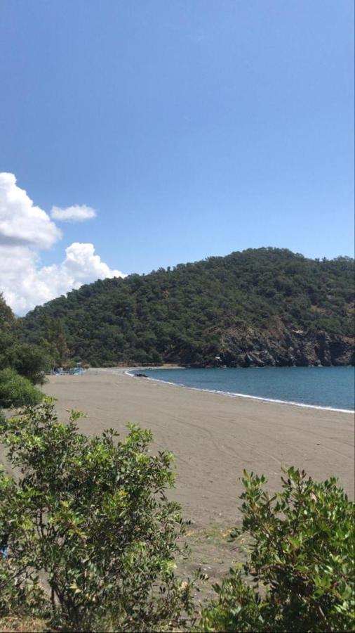 戈西克Daidala Life住宿加早餐旅馆 外观 照片