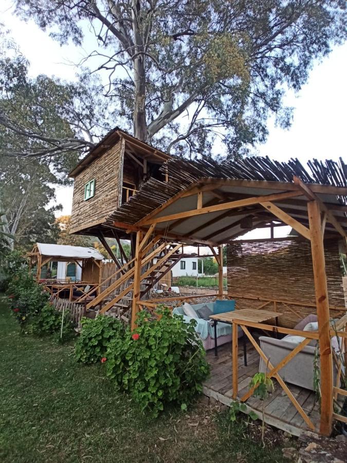 戈西克Daidala Life住宿加早餐旅馆 外观 照片