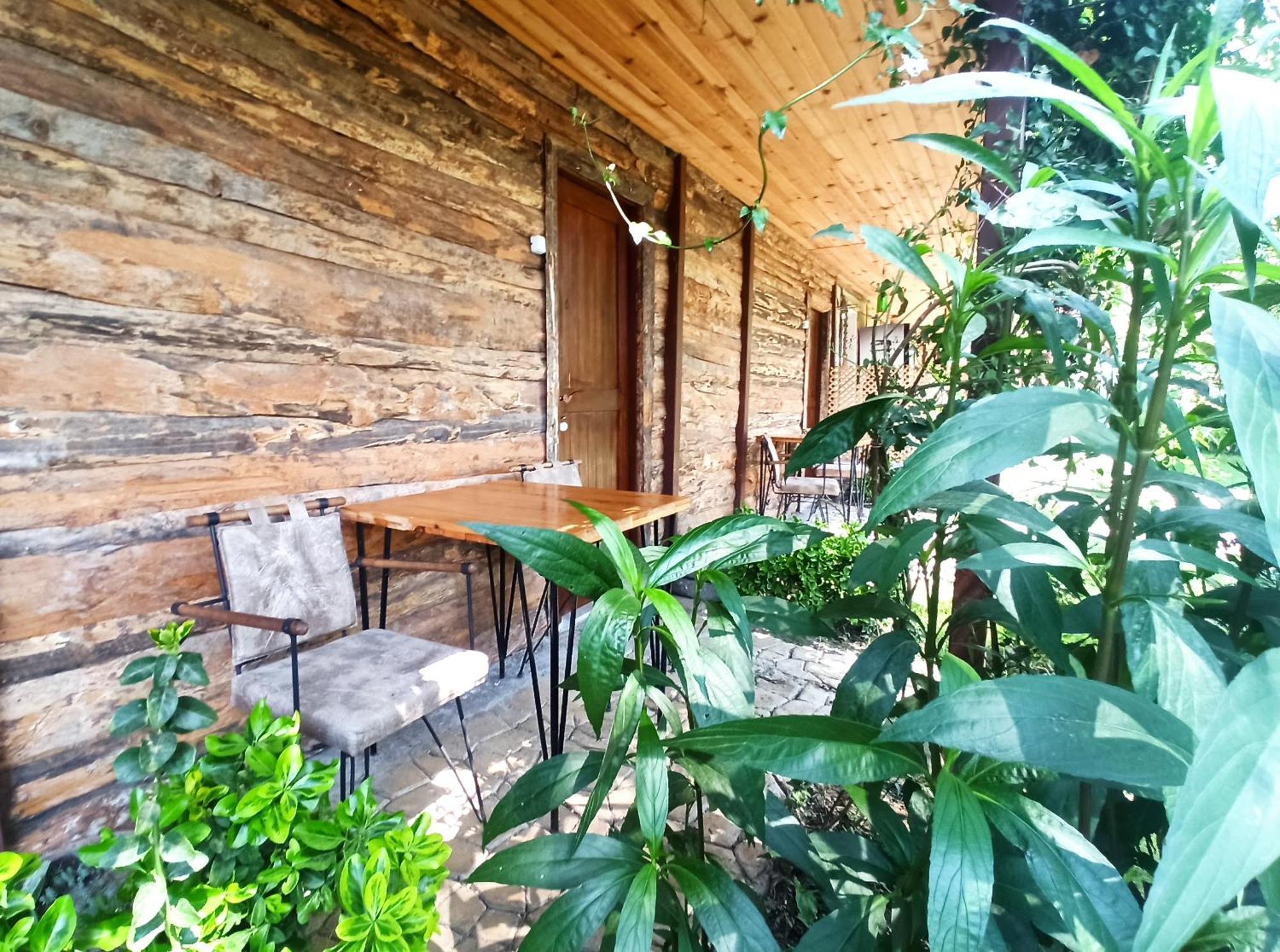 戈西克Daidala Life住宿加早餐旅馆 外观 照片